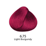 Light Burgundy