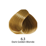 Dark Golden Blonde